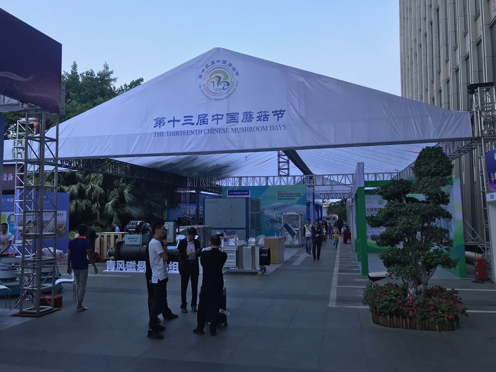 Chinese Mushroom Days 2019 Impression