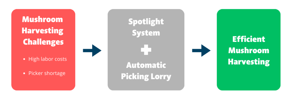 Infographic 1024x341