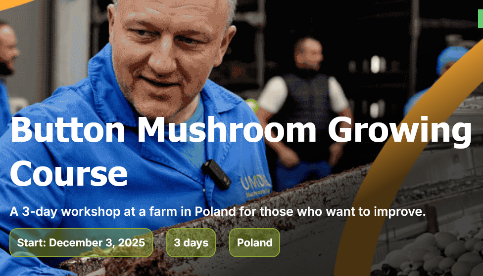 Button Mushroom Growing Course UMDIS Mushroom Agency