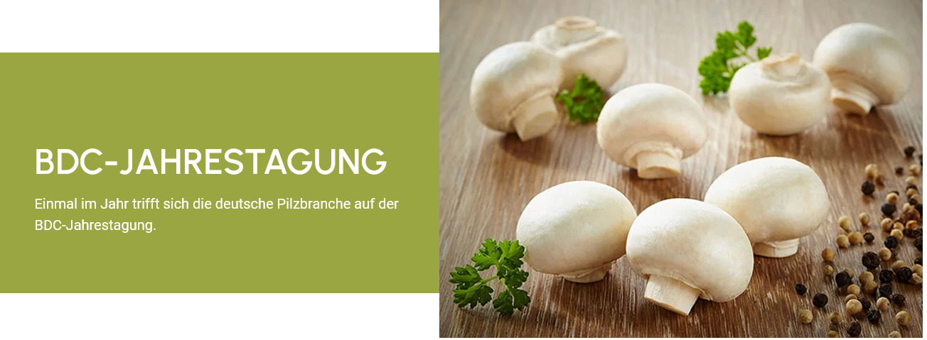 Bund Deutscher champinon