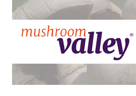 jan aug 2017 results mushroom export