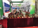 Chinese Mushroom Days 2018_41