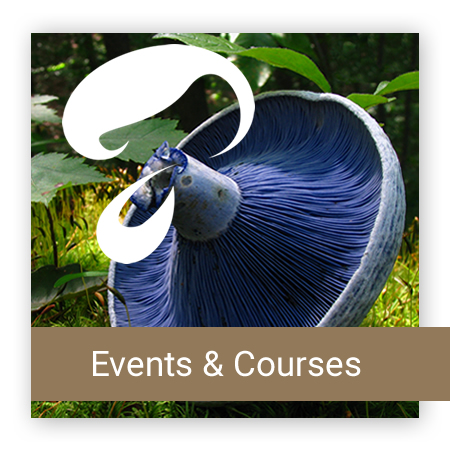 AFB EVENTS AND COURSES