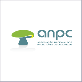 ANPC final