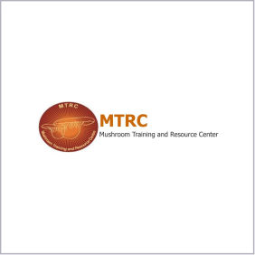 MTRC final