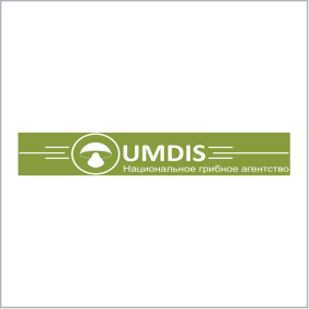 Umdis final