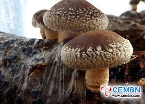 Mushroom industry coverage has been realized
