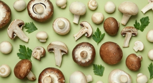 Mushroom Tips &amp; Tricks