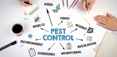 New regulations are starting to shape the future of the mushroom industry