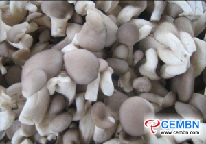 Beijing Fengtai market: analysis of mushroom price