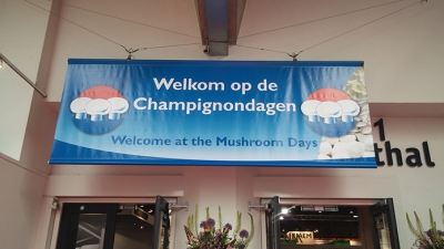 “The Mushroomdays” in The Netherlands, will be held on 22-23-24 May 2019.