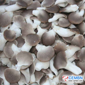 Anhui Zhougudui Market: Analysis of Mushroom Price