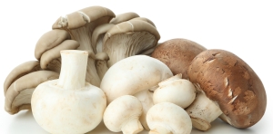 New U.S. tariffs add uncertainty to the North American mushroom industry