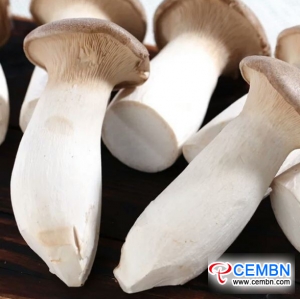 Shaanxi Xinqiao Market: Analysis of Mushroom Price