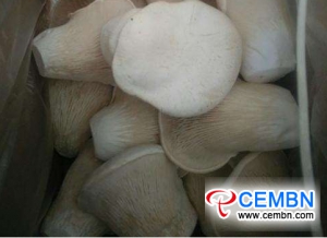 Anhui Zhougudui Market: Analysis of Mushroom Price