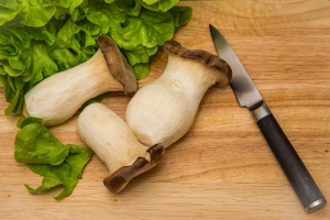 The King Oyster mushroom, a great substitute for meat