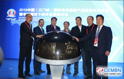 2019 China (Sanmenxia) International Mushroom New Products and Technology Expo was opened