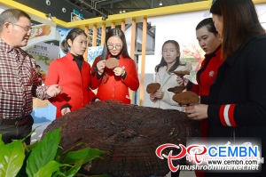 Ganoderma King was exhibited on Hunan Agricultural Fair