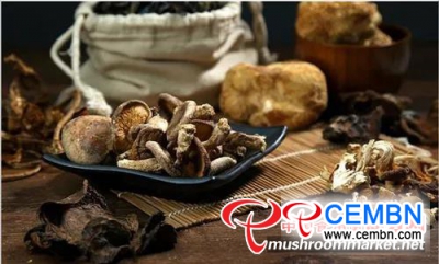 China’s Mushroom Output Capacity Is Hopeful To Get A Sustainable Growth