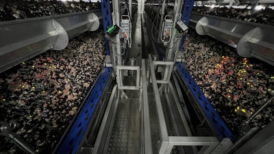 GTL Precision Picking The Synergy Between Spotlight and Automation