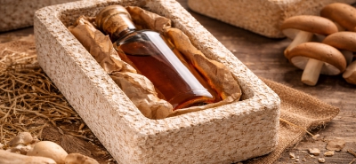 Mycelium materials gain momentum in sustainable packaging