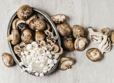 6 Surprising Mushroom Health Benefits for Your Skin, Brain, and Bones