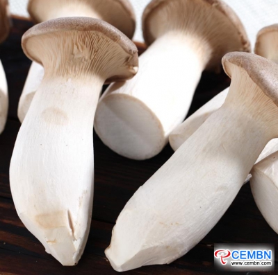 Hubei Lianghu Vegetable Market: Analysis of Mushroom Price