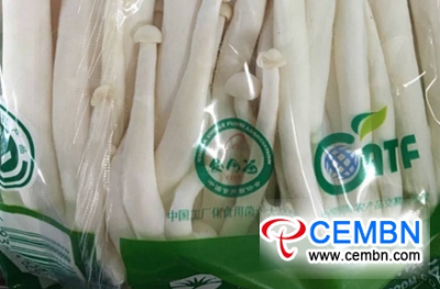 Gansu Province of China: Market Analysis of Mushroom Price