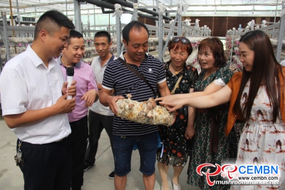 Yuguo Mushroom Company wins satisfactory foreign exchanges through export