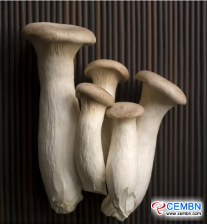 Zhejiang Hangzhou Market: Analysis of Mushroom Price