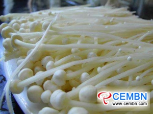 Yunnan Guanshang Market: Analysis of Mushroom Price