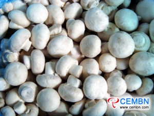 Beijing Xinfadi Market: Analysis of Mushroom Price