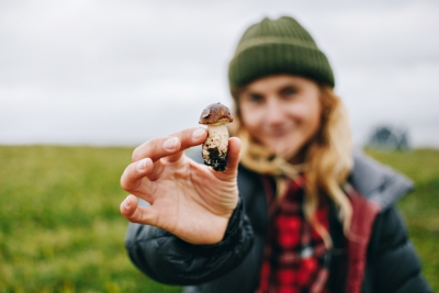 Biodegradable bags to revolutionise mushroom farming