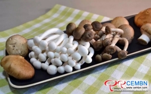 China’s mushroom output occupies above 70% of that of global