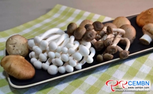 China&rsquo;s mushroom output occupies above 70% of that of global