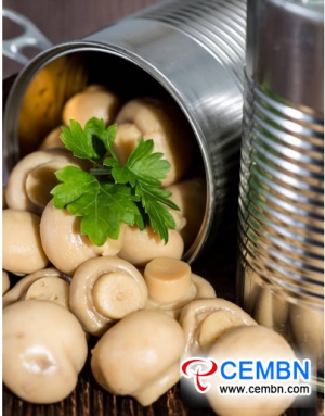 China’s Market Development Scale of Canned Mushroom Industry in 2018
