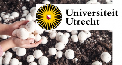 Residual waste from mushroom cultivation removes pollutants from water