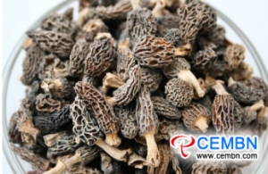 Guizhou Province of China: Mushroom industry is in rapid development trend