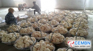 Mudanjiang City of Heilongjiang Province: Gross mushroom output attains 2.18 million tons