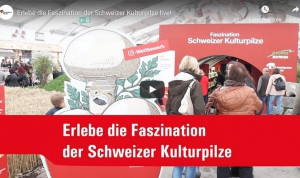 Der Schweizer Kulturpilz