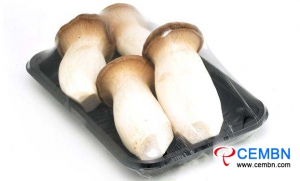 Inner Mongolia Meitong Market: Analysis of Mushroom Price