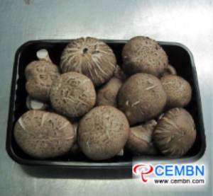 Guangdong Province of China: Market Analysis of Mushroom Price