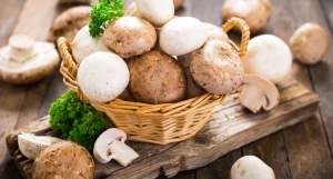 JM Farms Announces New Affiliation With Giorgi Mushroom Co. and Grupo Monteblanco Mb, S.A. De C.V.