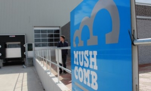 Mush Comb turns 25!