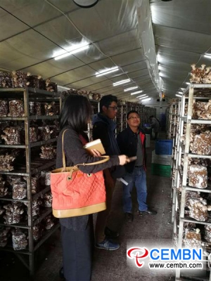 Mushroom mavens provide guidance for Shiitake growers