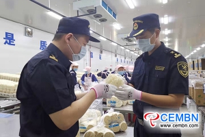 Chongqing: Fresh Enoki mushrooms were firstly exported to Thailand