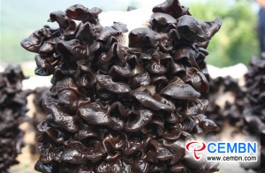 Mushroom industry remains at leading position among characteristic industries