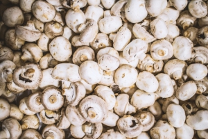 The value of the global functional mushroom market