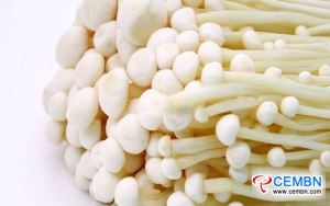 Enoki mushrooms produced in this city gush into Indonesian market