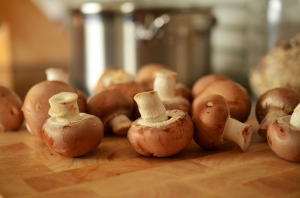 Mushroom cultivation produces three times its weight in waste. It’s now being turned into burgers and fertiliser